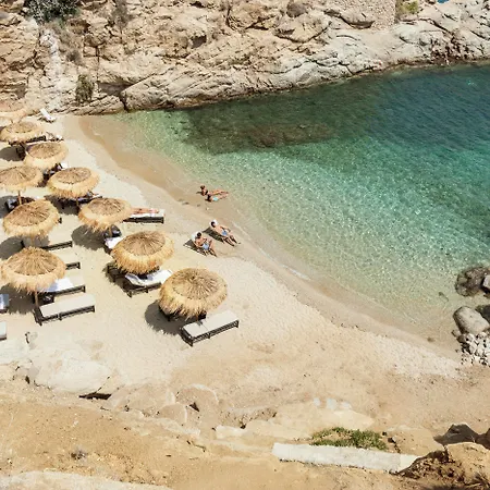 The Wild By Interni Kalafatis