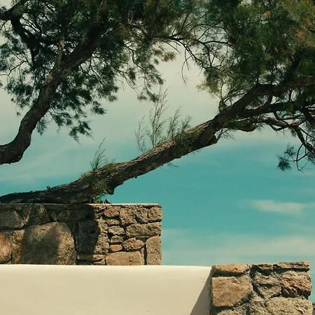 Hotel The Wild By Interni 5*