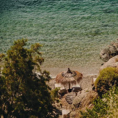 The Wild By Interni Hotel 5*