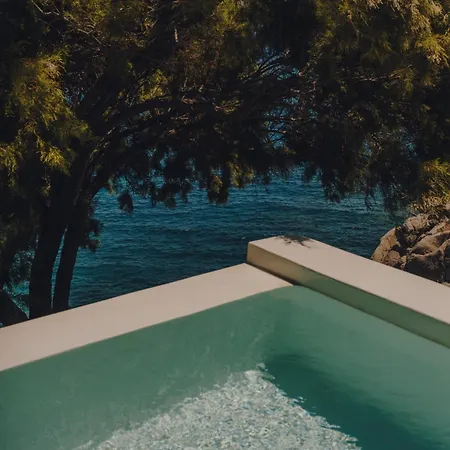 The Wild By Interni 5*