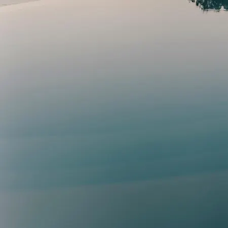 The Wild By Interni 5*