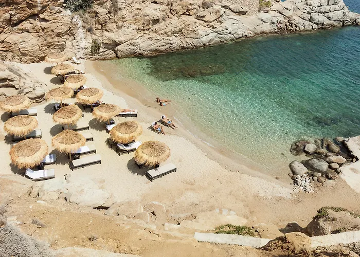 The Wild By Interni カラファティス