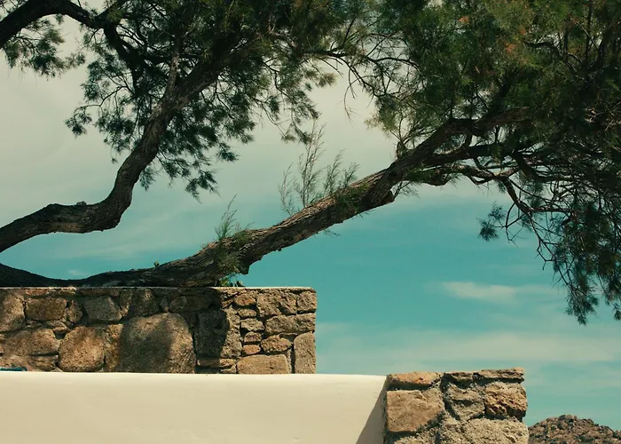 ホテル The Wild By Interni 5*