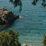 The Wild By Interni Kalafati