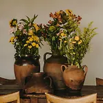 The Wild By Interni 5* Kalafati