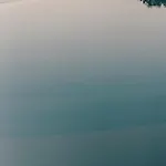 The Wild By Interni 5*