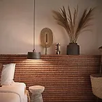 The Wild By Interni 5*