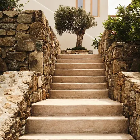 Otel The Wild By Interni