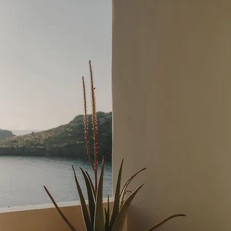 Otel The Wild By Interni Kalafatis