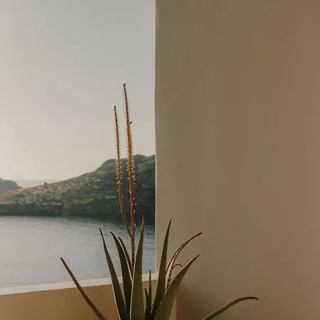 Hotel The Wild By Interni