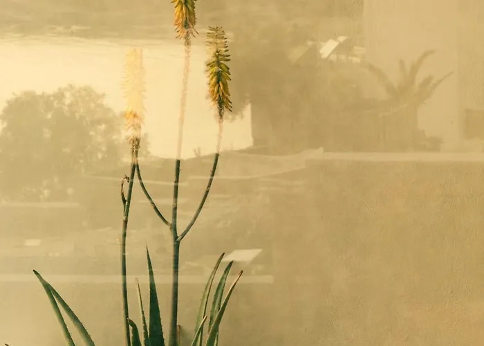 Hotell The Wild By Interni 5*