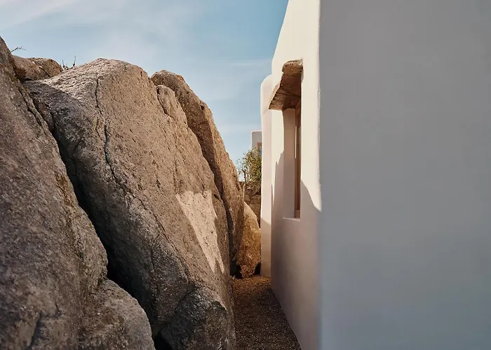 فندق ذا وايلد باي إنتيرني 5*