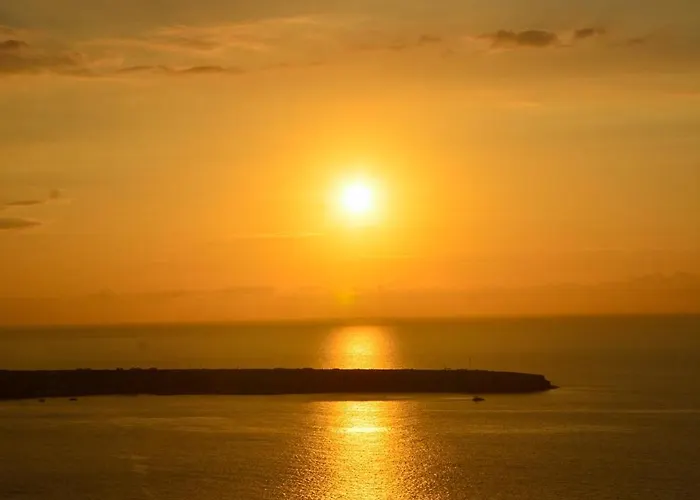 ذا وايلد باي إنتيرني