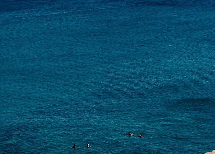 ذا وايلد باي إنتيرني فندق