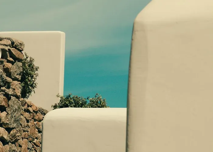 ذا وايلد باي إنتيرني فندق