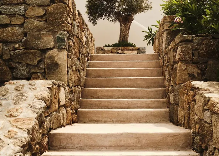 Hotel The Wild By Interni