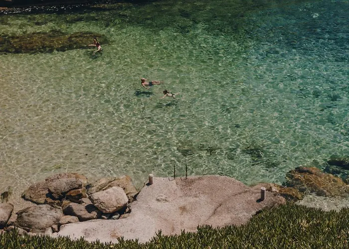 ذا وايلد باي إنتيرني