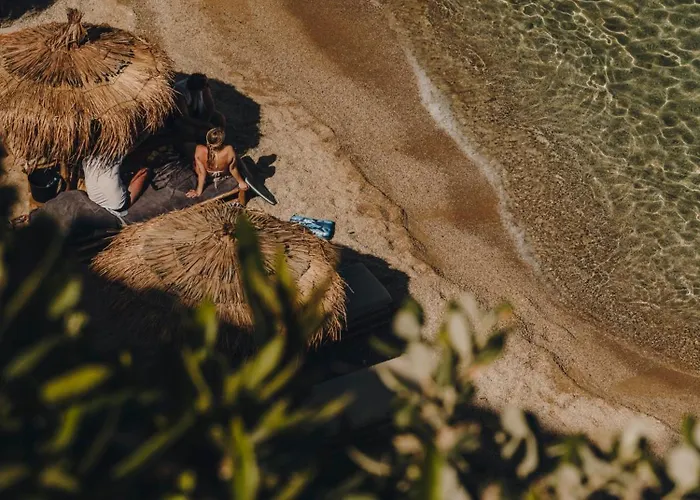 ذا وايلد باي إنتيرني 5*