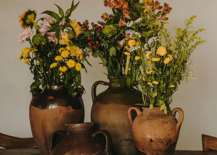 ذا وايلد باي إنتيرني 5* كالافاتيس