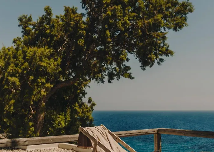 ذا وايلد باي إنتيرني