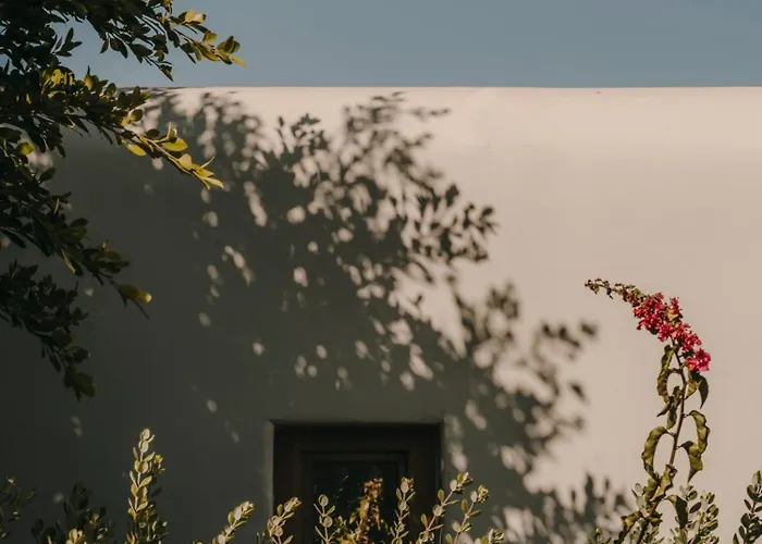 ذا وايلد باي إنتيرني 5*