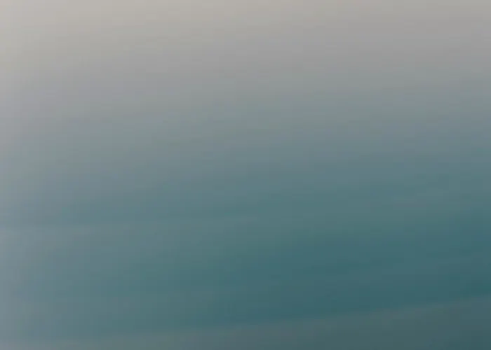 The Wild By Interni 5*