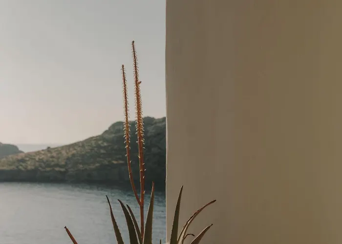 Hotell The Wild By Interni Kalafati