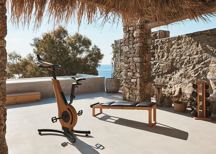 ذا وايلد باي إنتيرني فندق 5*