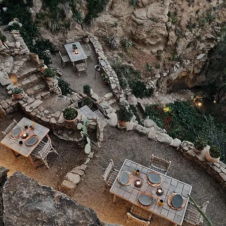 The Wild By Interni 卡拉法蒂斯