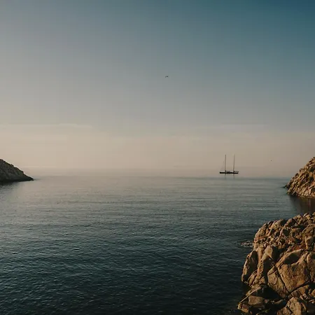 The Wild By Interni 卡拉法蒂斯