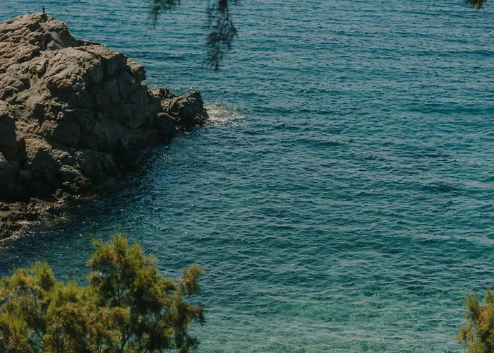 The Wild By Interni 卡拉法蒂斯