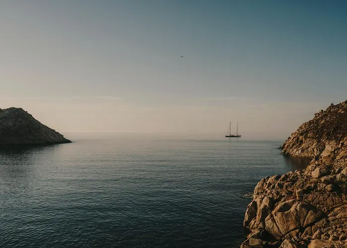 The Wild By Interni 卡拉法蒂斯